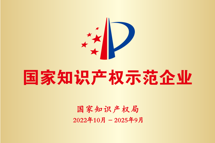2022-2025年國家知識產(chǎn)權(quán)示范企業(yè)